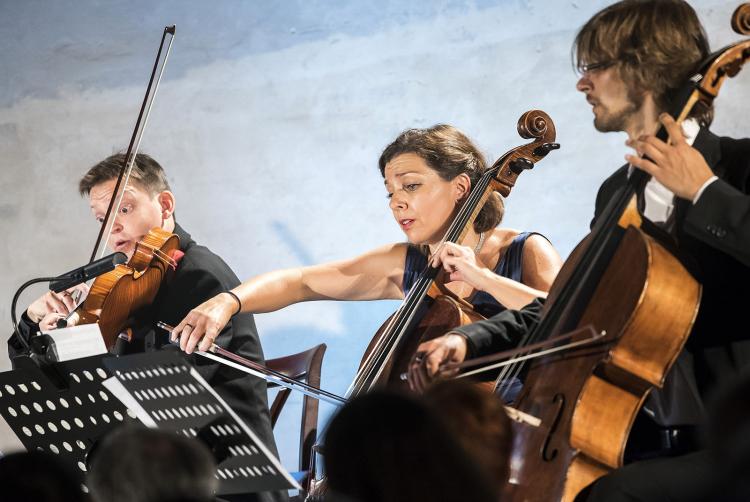   Jakub Fišer, Josephine Knight and Ivan Vokáč 