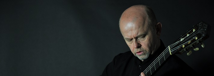 Pavel Steidl - guitar